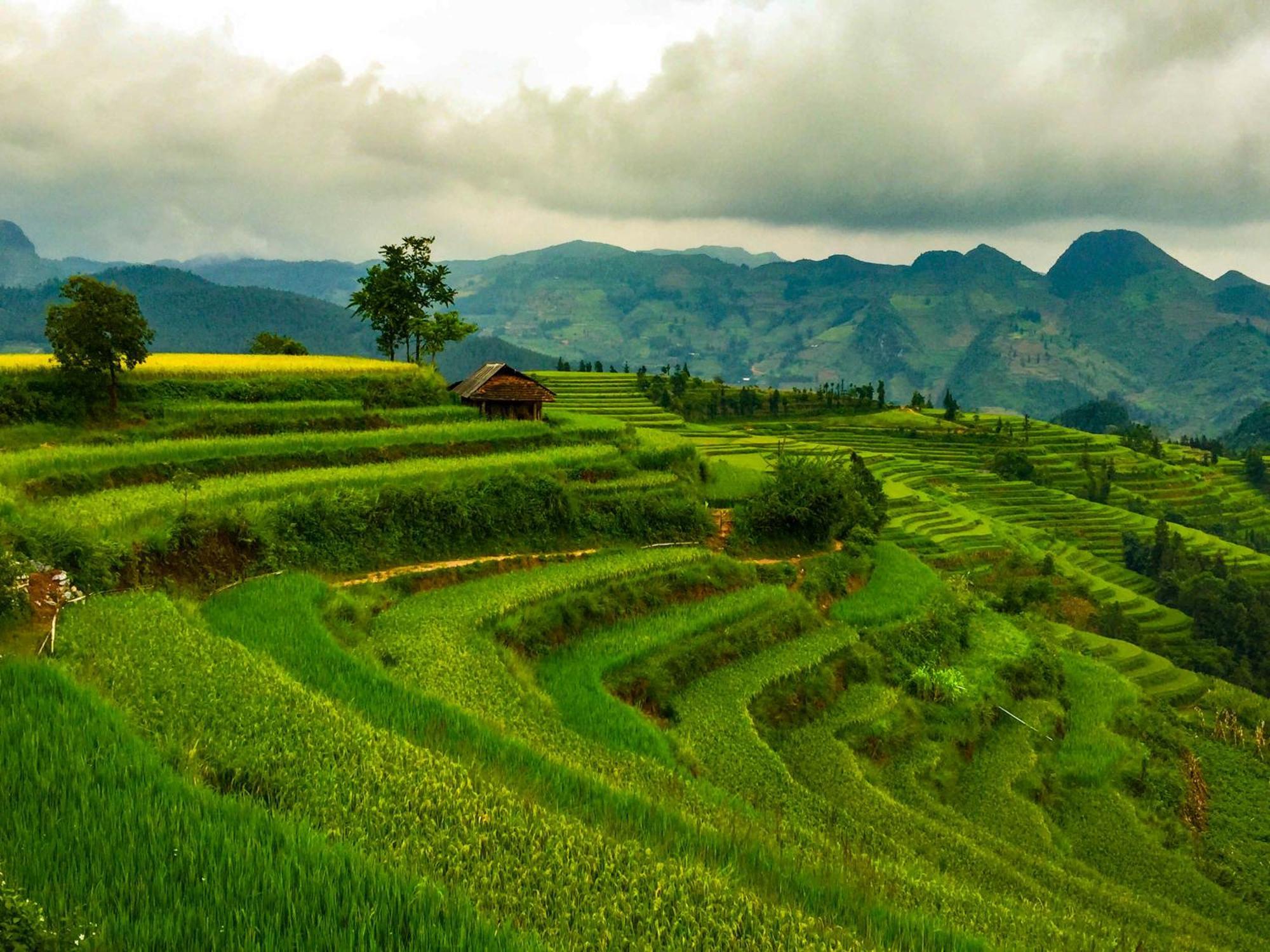 Cong Fu Hotel Bac Ha  Bagian luar foto